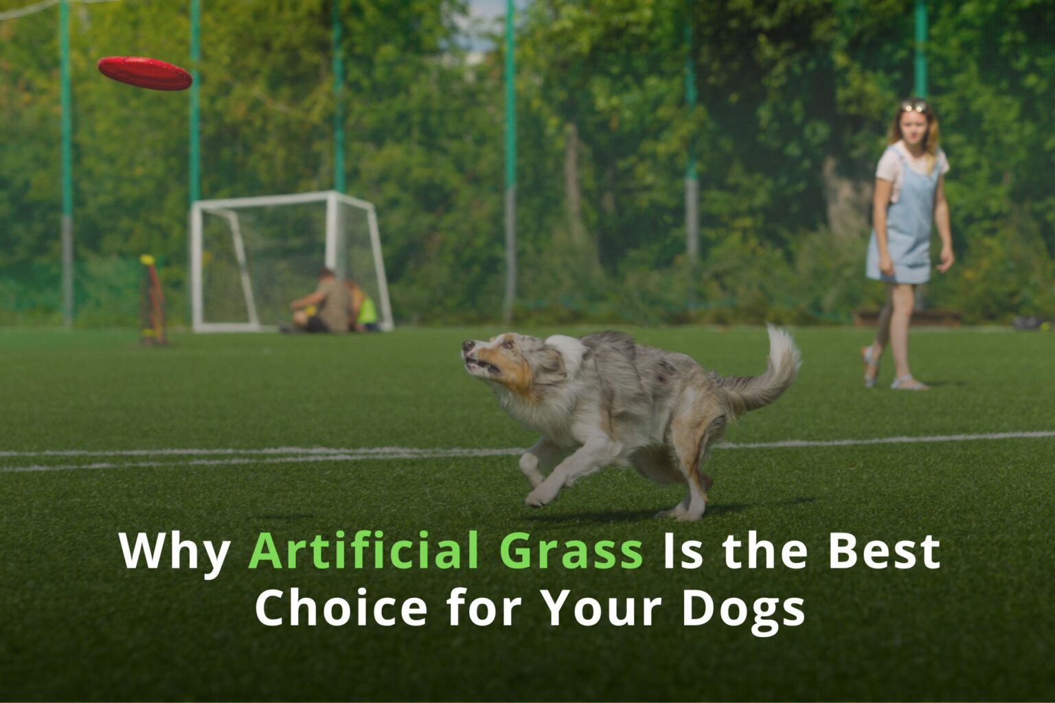 Small Backyard? Maximize it With Artificial Turf in Dallas - Can Grass Make A Dog Sick