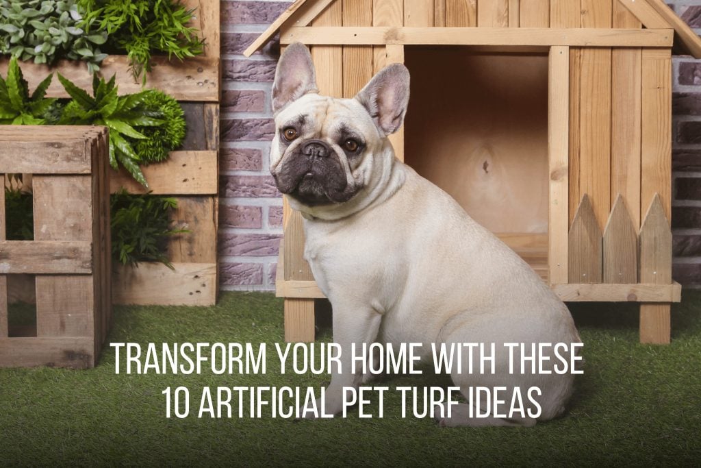 French Bulldog sitting on artificial pet turf beside a wooden dog house, surrounded by greenery, promoting creative ideas for using artificial pet turf in homes.