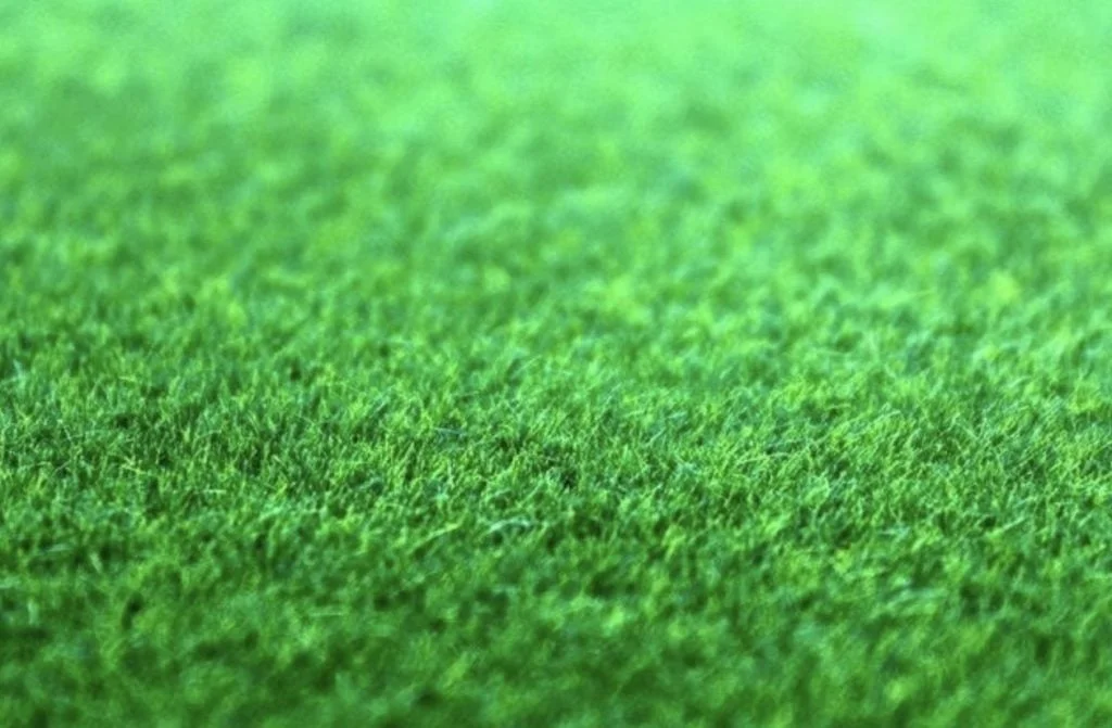 about synthetic grass