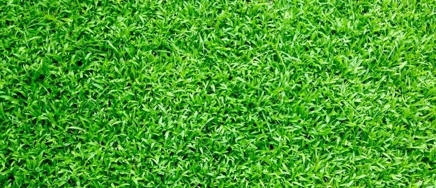 artificial grass installation