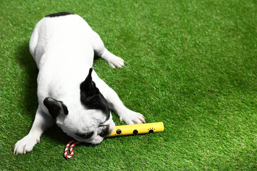 synthetic grass faq
