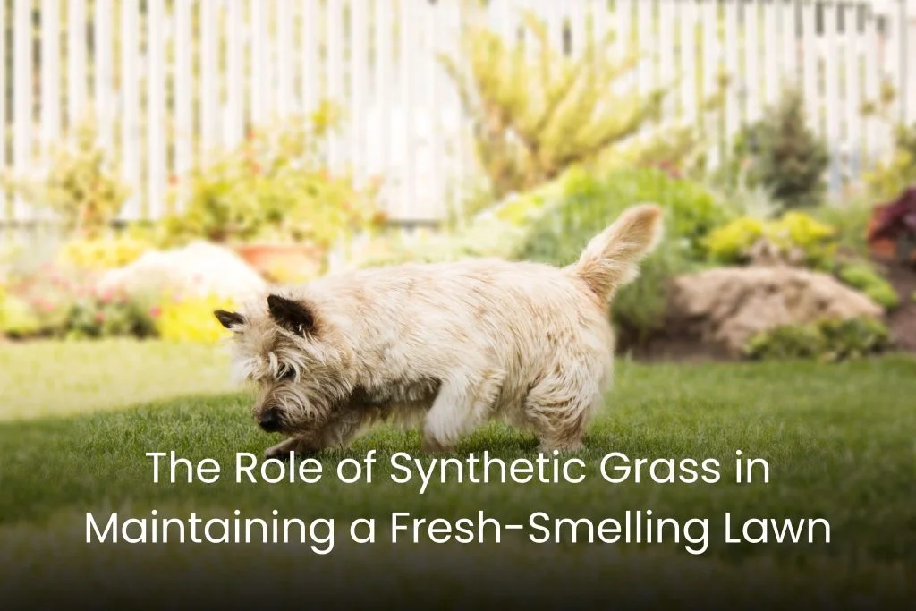 The Role of Artificial Grass in Maintaining a Fresh-Smelling Lawn
