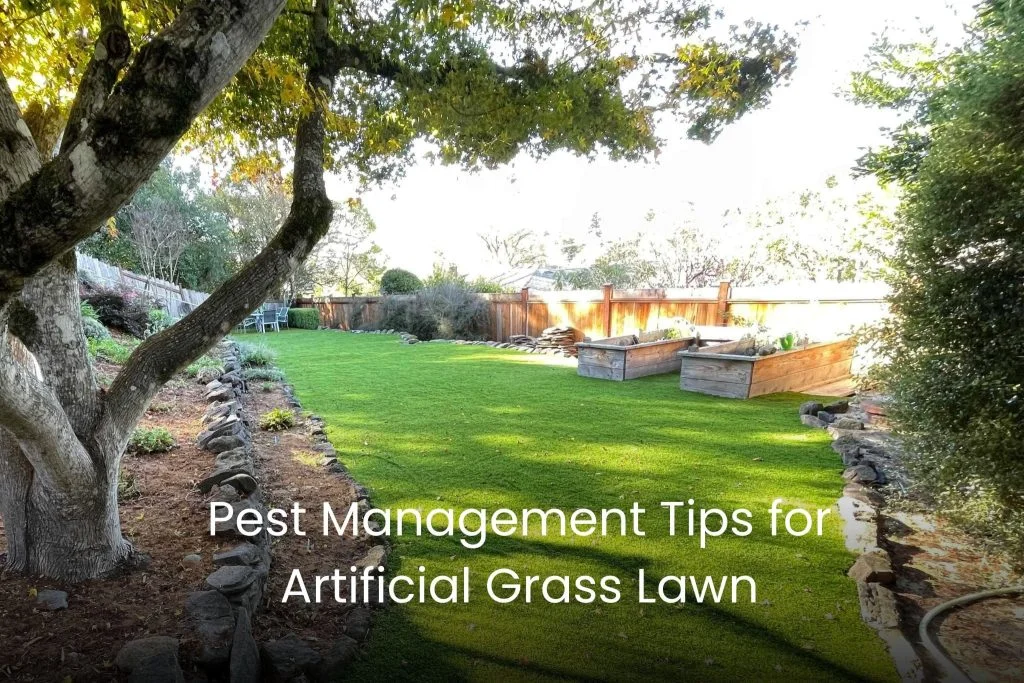 Pest Management Tips for Artificial Grass Lawn - synthetic dfw 1