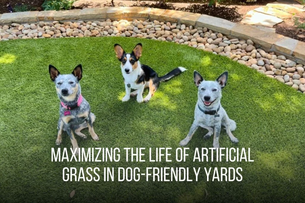 Maximizing the Life of Artificial Grass in Dog-Friendly Yards - SyntheticGrassDFW 1
